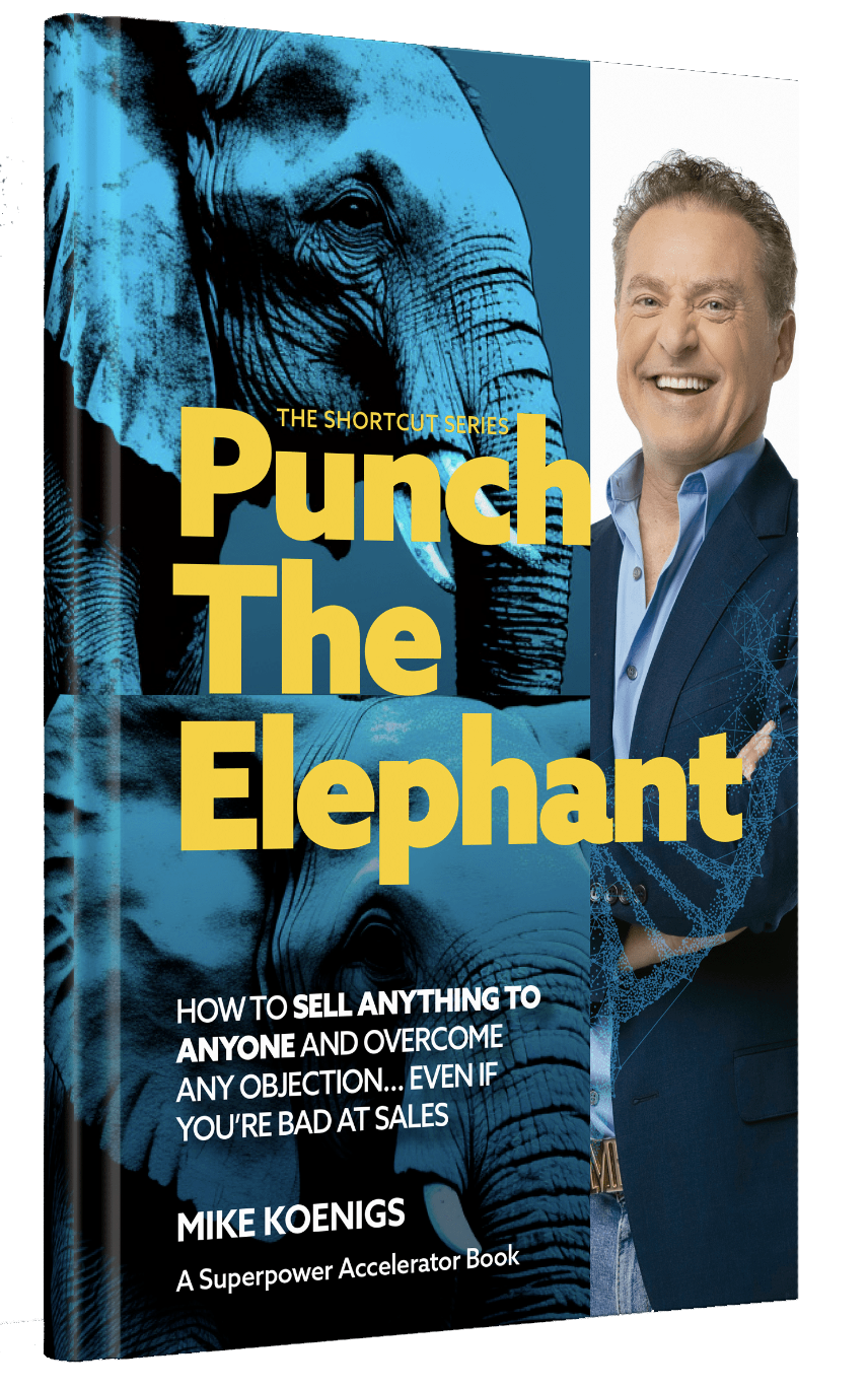 Cover of Mike Koenigs Book "Punch The Elephant"